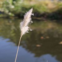 Photo de France - La randonnée du lac des Olivettes